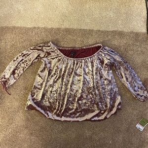 American Eagle Off the Shoulder Velvet Pink Top